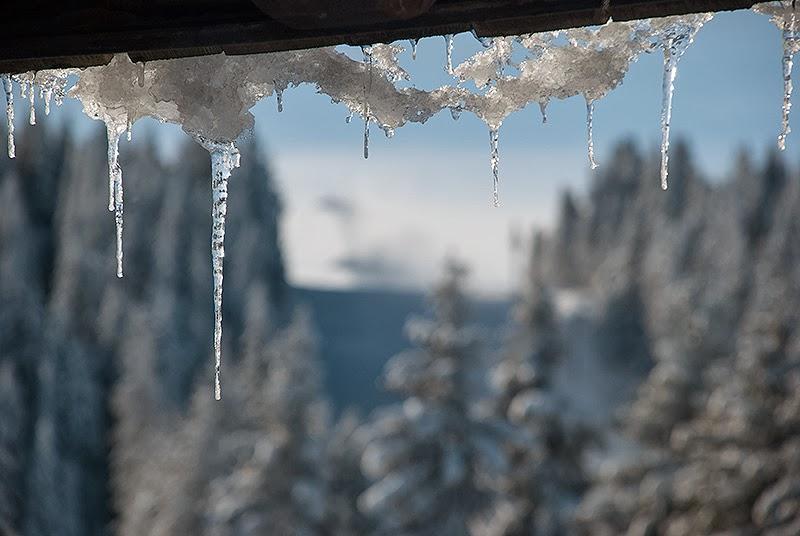 Apartment Suncani Vrhovi Kopaonik Zewnętrze zdjęcie